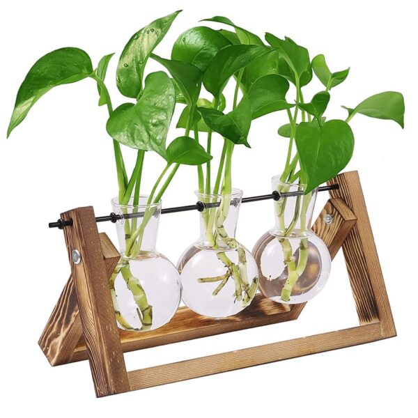 plant terrarium with wooden stand