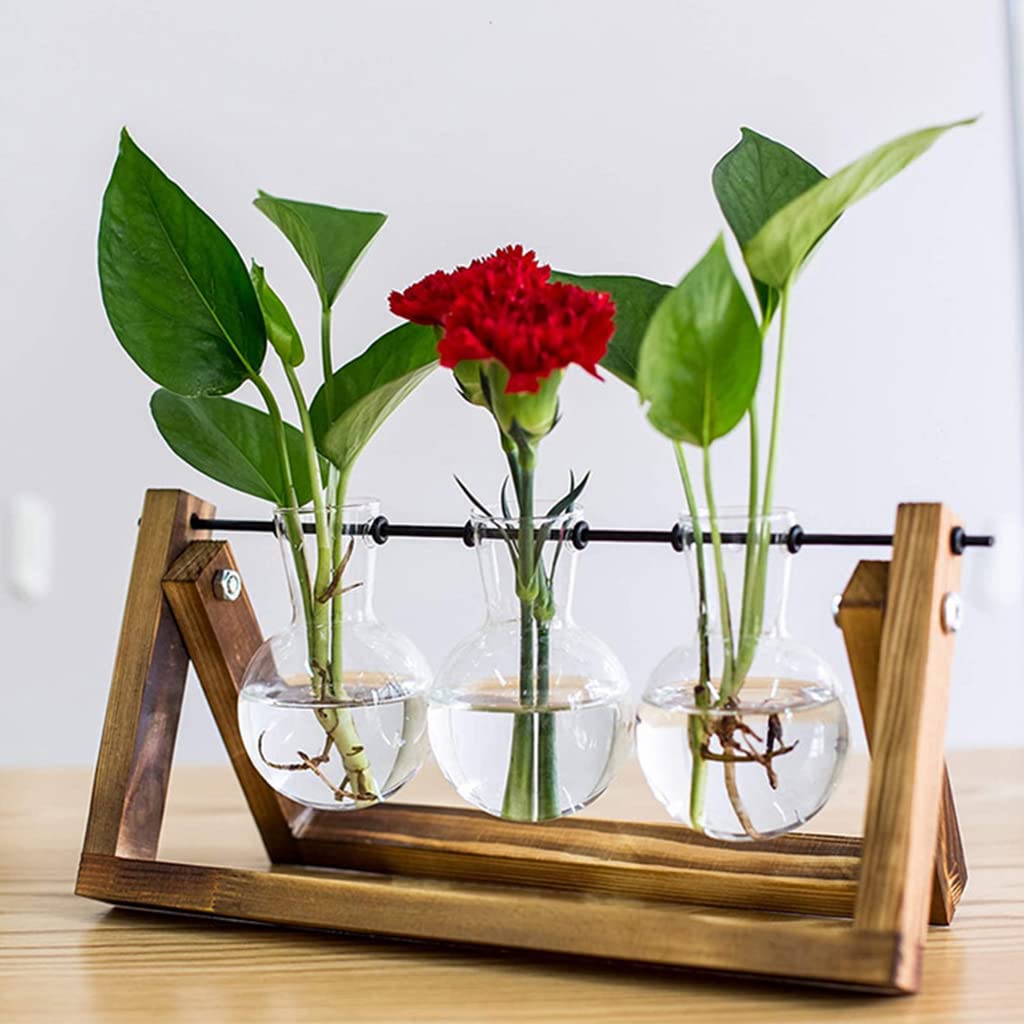 plant terrarium with wooden stand