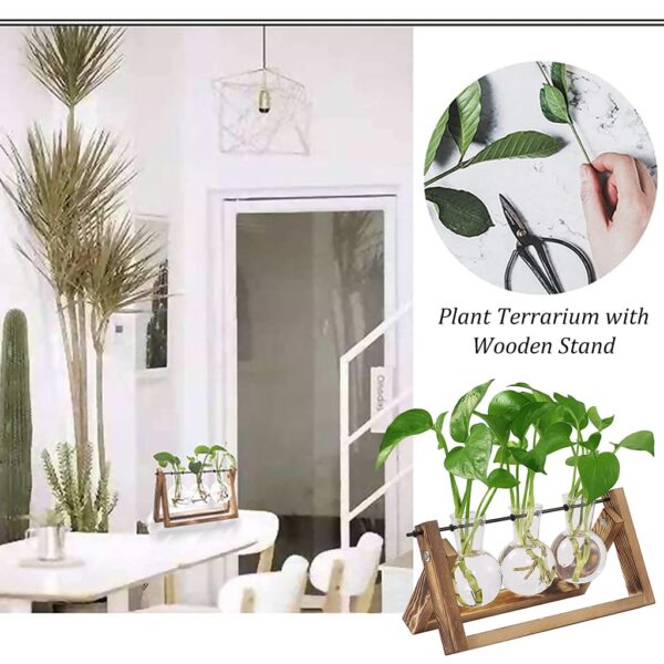 plant terrarium with wooden stand